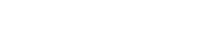 Marca de neumáticos